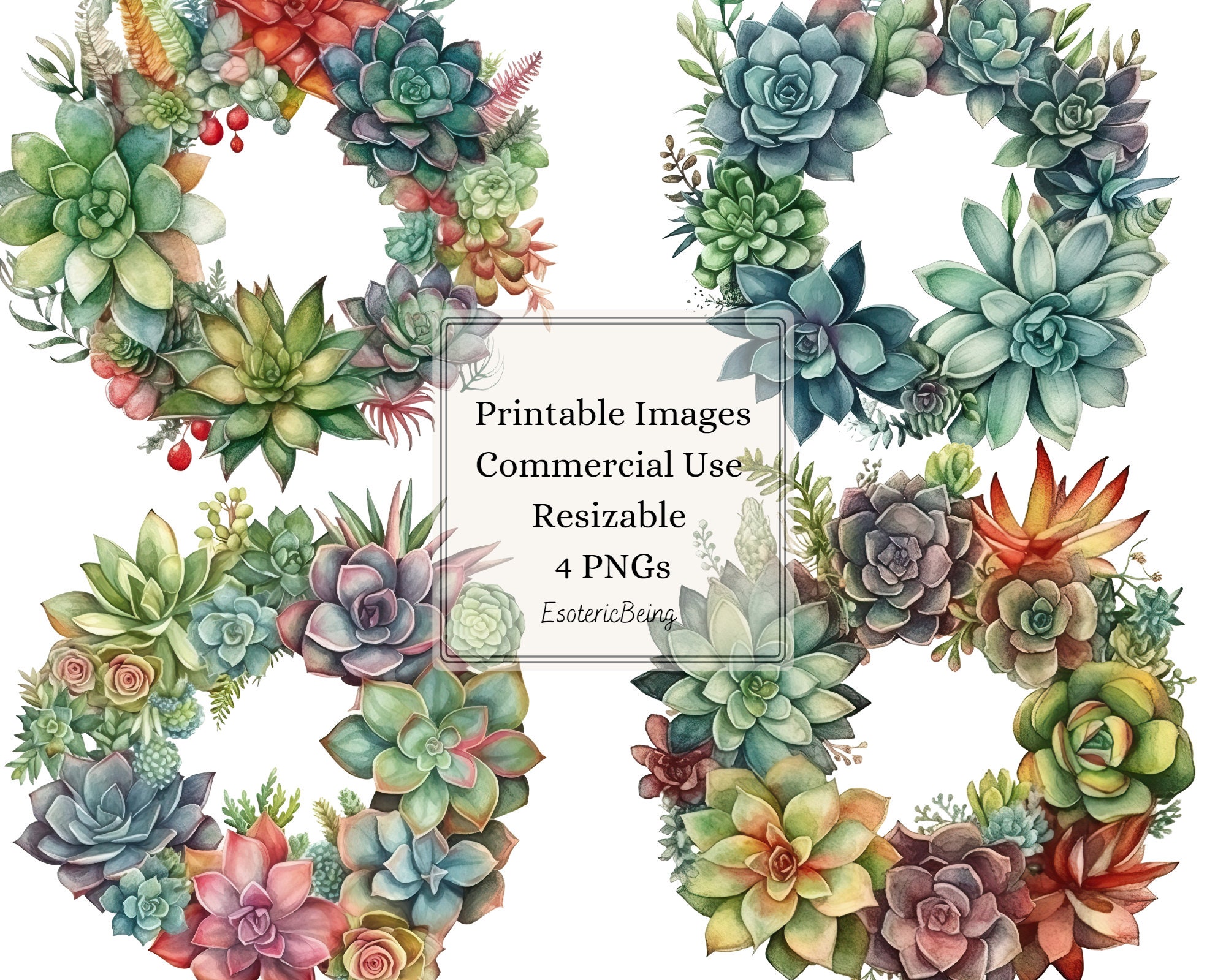 Printable Succulent Clipart 4 Png Digital Downloads - Etsy