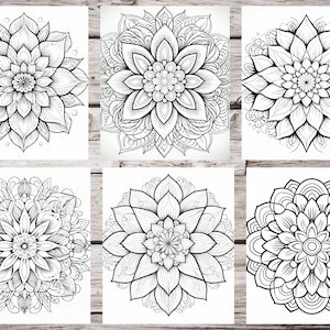 May include: Six black and white mandala designs with intricate floral patterns. Each mandala is circular and features a central flower with radiating petals and detailed borders.