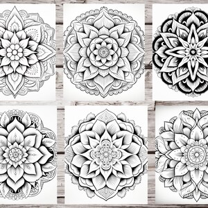 May include: Six black and white mandala designs with intricate floral patterns. The mandalas are circular and have a symmetrical design.