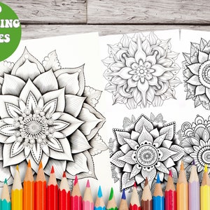 May include: A set of five black and white mandala coloring pages featuring intricate floral designs. The pages are surrounded by colored pencils.