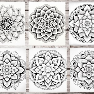 May include: Six black and white mandala designs with intricate patterns. The mandalas are circular and feature floral and geometric motifs.