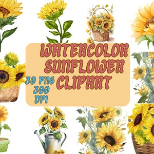 30 fleurs de tournesol PNG, aquarelle Floral Clipart Bouquets, aquarelle tournesols Clipart, éléments, usage Commercial, clipart numérique PNG