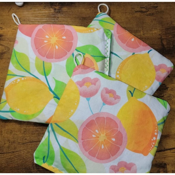 Citrus Summer Potholder