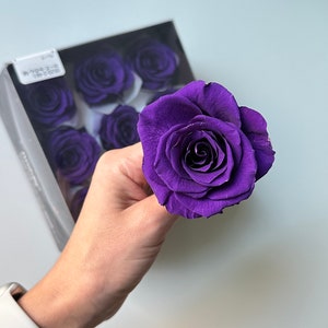 Preserved roses Japanese roses preserved flowers
