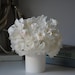 see more listings in the Small Bouquets section