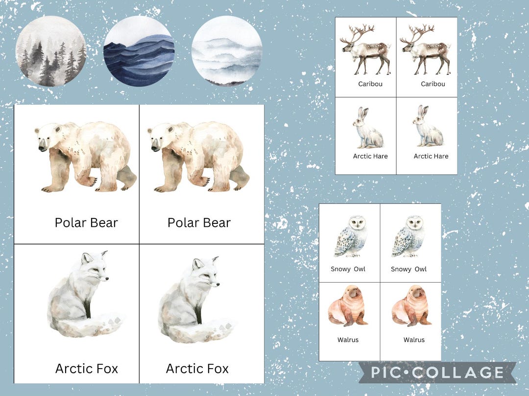 Arctic Animals Memory Matching Game Printable Bundle! - Etsy