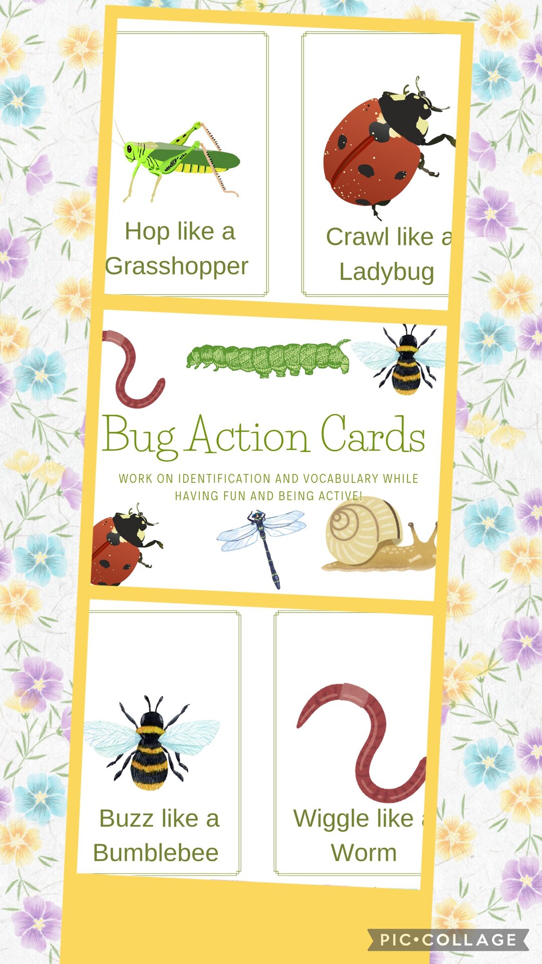 Bug Action Cards- Vocabulary Development, Learning and Active Fun! - Etsy