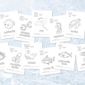 May include: A collection of white flashcards featuring black line drawings of sea creatures, each labeled with a letter of the alphabet. The cards include illustrations of a pufferfish, ray, seahorse, turtle, and more. The text "made with love by" is at the bottom.
