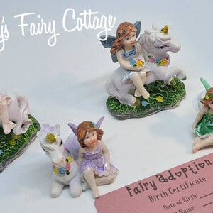 Fee en eenhoorn vrienden adoptie set, verbeelding en doen alsof spelen. Adopteer een schattige fee met geboorteakte. Leuke kinderen. Geweldige cadeaus