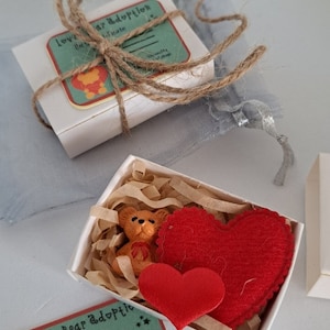 Teeny weeny Mini Bear set, imaginación y juego de simulación. Match box bear, adopta un mini osito adorable, Con partida de nacimiento. Lindo regalo para niños