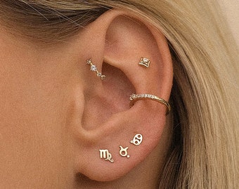 Zodiac Earrings, Stud Earrings in 925 Sterling Silver, Gold Zodiac Sign Earrings, Zodiac Stud Earrings, Horoscope Stud Earrings, Star sign