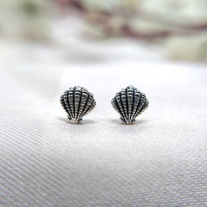 May include: A pair of silver shell stud earrings. The earrings are small and delicate, and they feature a detailed shell design.