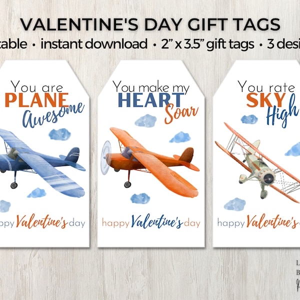 Airplane Valentine's Day Gift Tags, Plane Valentine, Kids Valentine, Classroom Favors, Preschool Valentine, Instant Editable Download