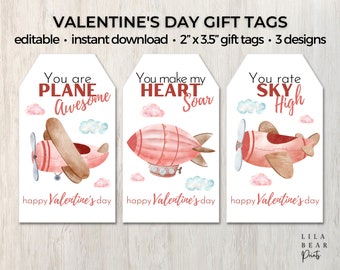 May include: Three printable Valentine's Day gift tags featuring pink and brown airplanes with clouds. The tags say "You are plane awesome", "You make my heart soar", and "You rate sky high".