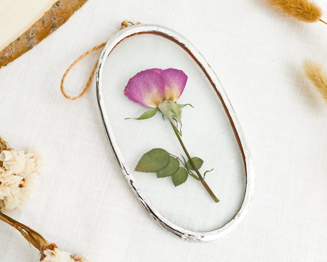 Pink Pressed Rose Flower Frame Wall Art, Small Pressed Rose Framed Wall