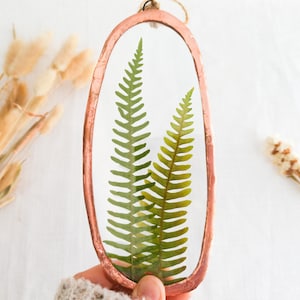 Pressed dried fern wall hanging, Cottagecore floating frame with pressed flowers, Natural botanical small framed art in glass