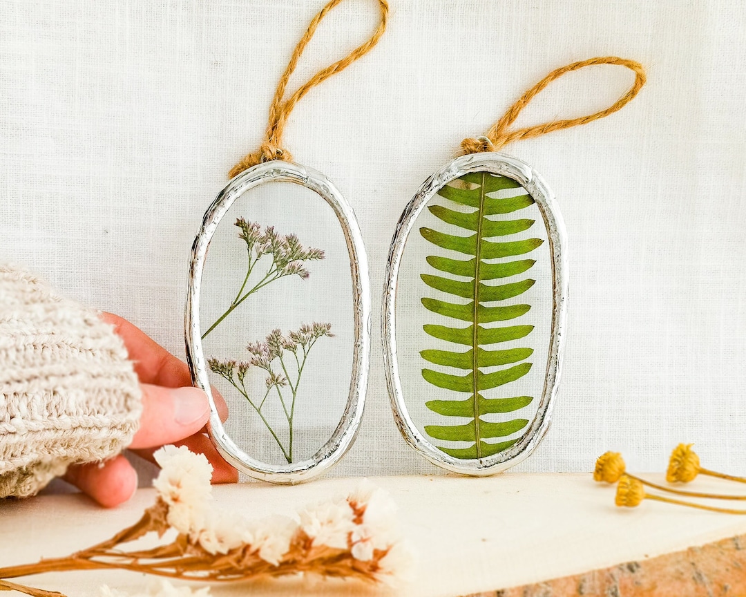 Pressed Flower Wall Art in Glass Frame Dried Pressed Flowers Etsy