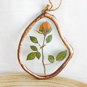 Pressed flower cottagecore wall decor, Pressed dried rose wall hanging, Natural botanical small floating frame