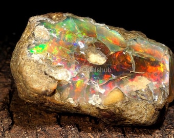 50.00カラットの本物のファイアーオパール原石：手作りのルース宝石