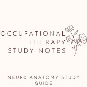 May include: Occupational Therapy Study Notes with a neuroanatomy study guide title. The image features a simple line drawing of a flower with three blossoms.