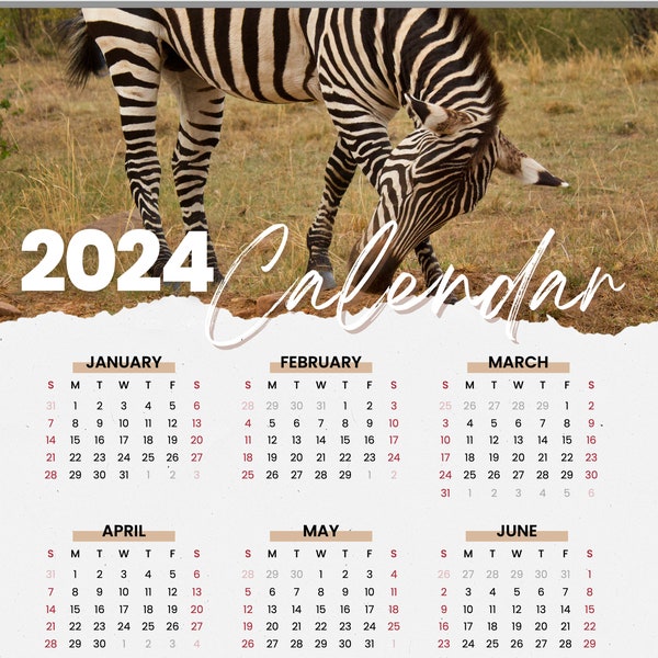 2024 Printable Calendar, Safari Animal Calendar, Wildlife Calendar, Zebra, Instant Download, Animal Calendar, Letter Size, A4, Nature