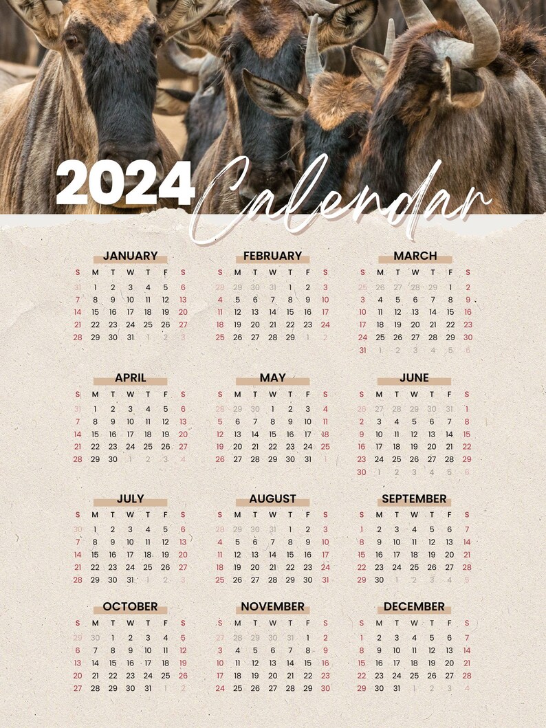 2024 Printable Calendar, Safari Animal Calendar, Wildlife Calendar