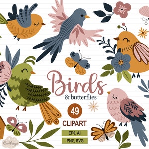 Uccelli SVG, Clipart di farfalle, PNG di fiori, Clipart di primavera, Farfalla SVG, Pacchetto estivo, Illustrazione di uccelli, Uccello floreale, Decorazione per la cameretta dei bambini