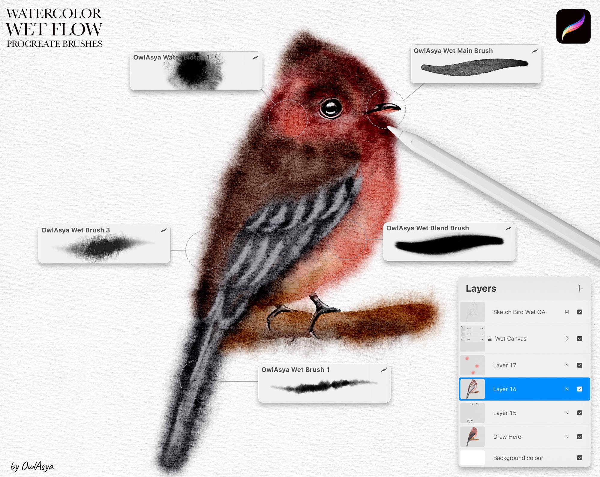 Wet Flow Watercolor Procreate Brushes, Wet on Wet, Painting Kit for ...