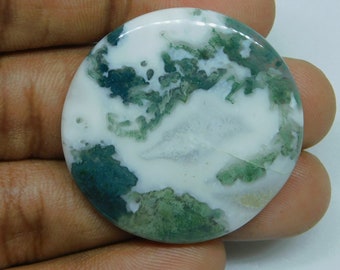 High !!! Tree agate Gemstone Tree agate Cabochons Top Quality Tree agate Loose semi precious Jewelry making gemstone 61Cts.