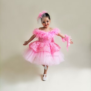 Pink Ball Gown for Toddler Baby Pink Princess Outfit Tutu Girl Birthday Dress Ostrich Feather Prom Dress Girl Feather Boa Tutu Costum