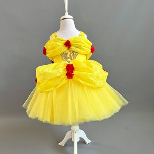 Handgemachtes Bella Kleid, Die Schöne und Das Biest Kostüm, Geburtstagsparty Outfit