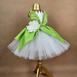 Tiana costume. Princess Tiana Dress. Princess Tiana costume. Baby girl dress. Tiana dress. Knee Length Birthday dress.