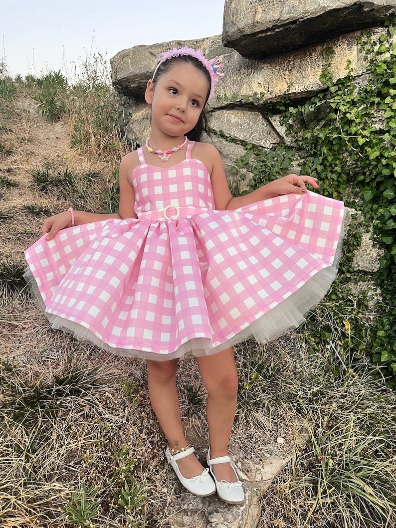 May include: A young girl wearing a pink and white gingham dress with a white tulle underskirt. She is wearing a pink headband with a crown design and a colorful beaded necklace. She is standing on a stone step with grass in the background.