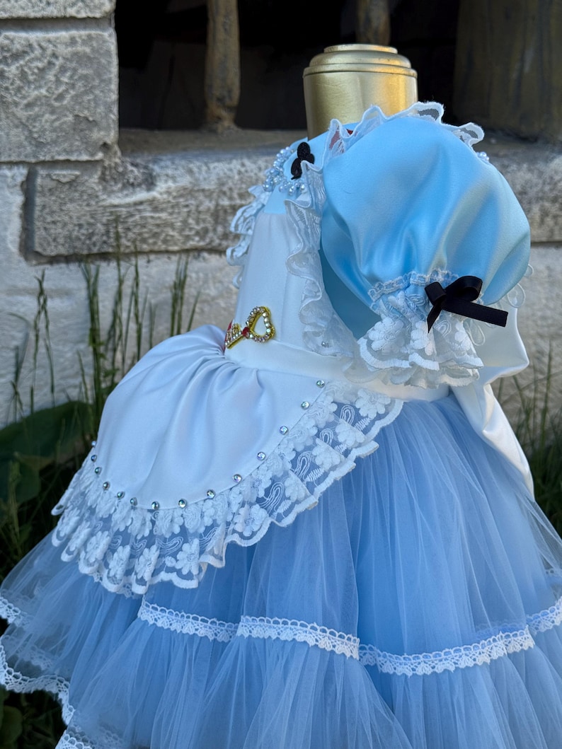 Alice in Wonderland Dress, Toddler Storybook Costume, Blue Fairytale Party Outfit image 9