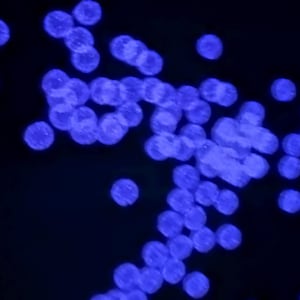 Puede incluir: Una imagen de primer plano de un fondo azul oscuro con muchas pequeñas luces azules redondas dispersas por toda la imagen.