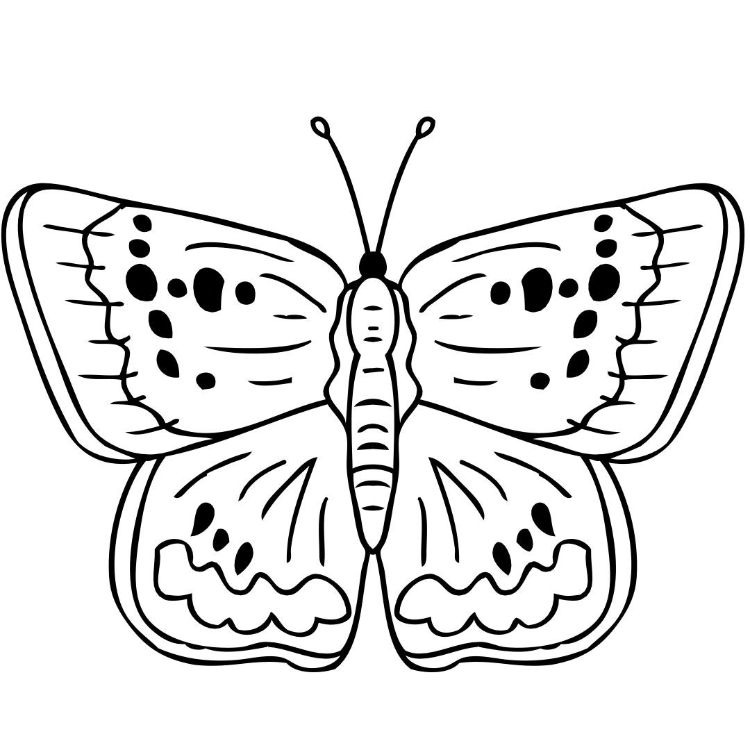 Butterfly Colouring Sheet - Etsy