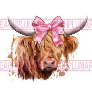 Coquette highland cow png, Watercolor highland cow png sublimation design download, highland cow with pink bow png, coquette cow png