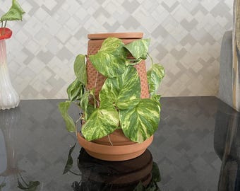 Terra Cotta Planter with Lid and Platter, Modern Farmhouse Vase