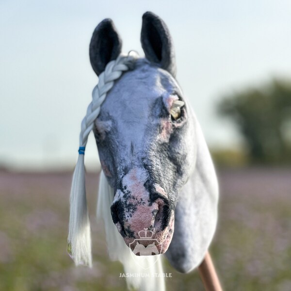 Magnifique cheval de loisir lipizzan Little+ Favory