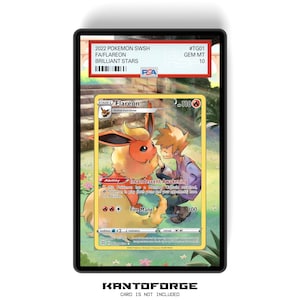 Flareon TG01/TG30 - PSAサイズのグレーディングカードケース、拡張アートワークディスプレイ、GradeGuardian保護付き