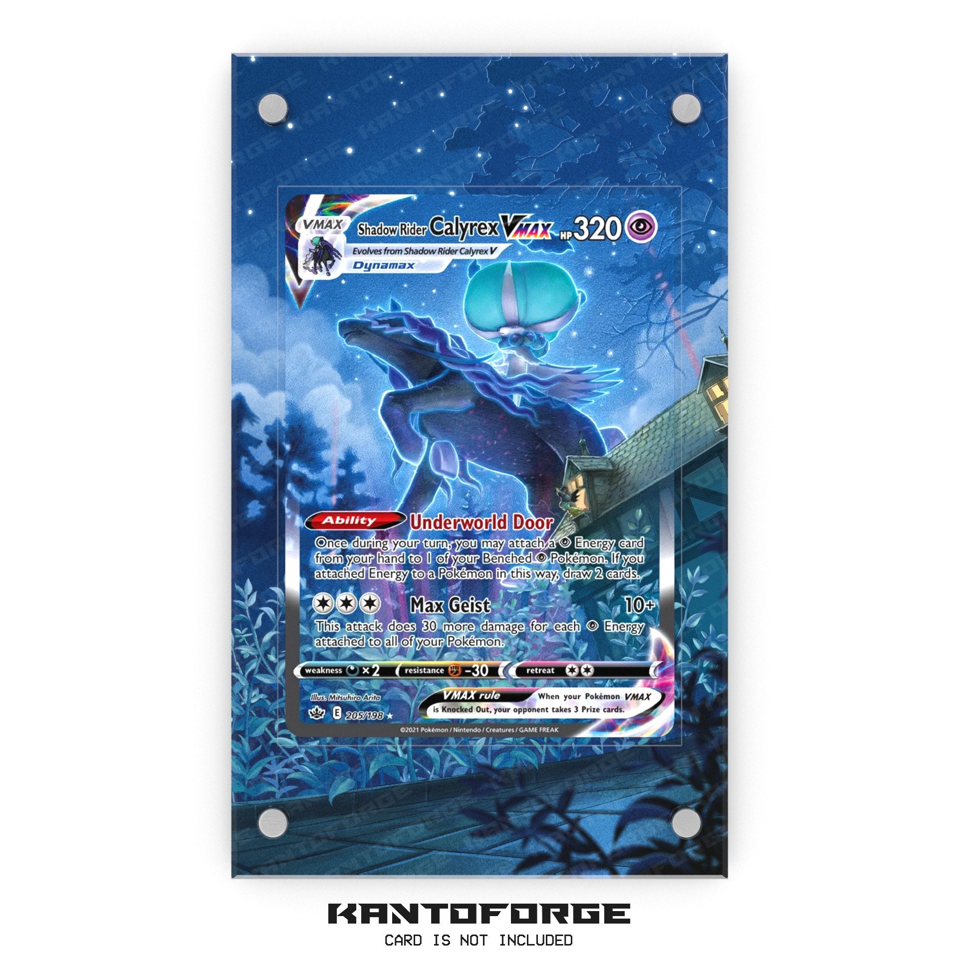 Shadow Rider Calyrex VMAX 205/198 - Pokmon Extended Artwork Display Case -  Etsy