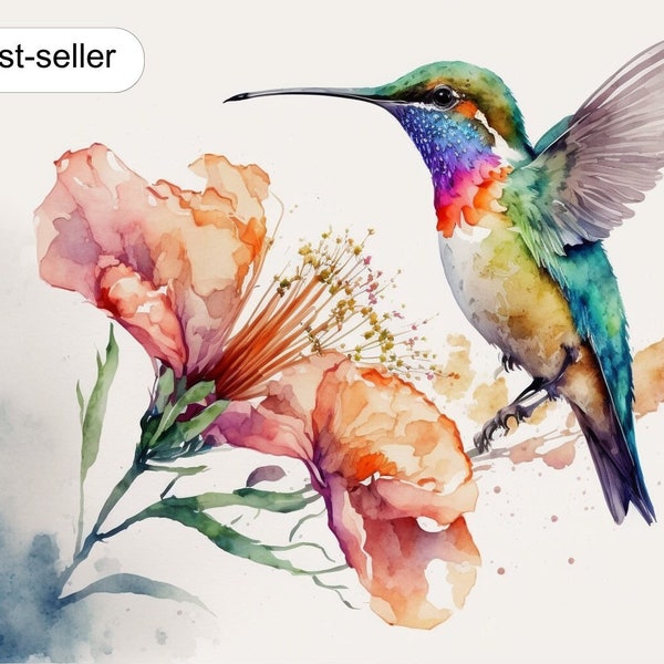 Aquarell-Kolibri und Blumen | Wanddekoration | Drucken | Limitierte Auflage, beschränkte Auflage