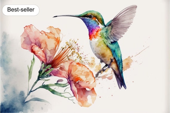 Watercolor Hummingbird and Flowers Wall Decor Print Limited