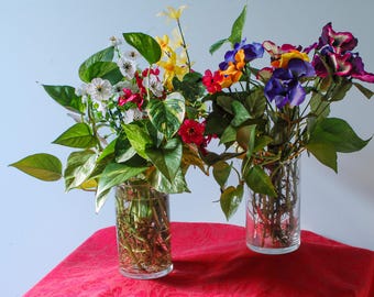 Easy care hydroponic plants with Spring Decor!  It's all about simplicity!