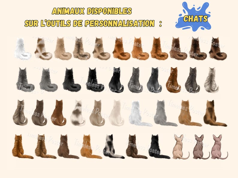 May include: A collection of cat illustrations in various colors and patterns, including white, gray, black, brown, and orange. The text at the top reads "ANIMAUX DISPONIBLES SUR L'OUTILS DE PERSONNALISATION : CHATS."
