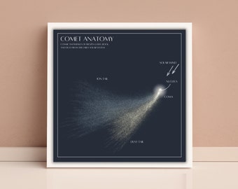 Cartel de anatomía del cometa, Descarga digital, Arte de pared, Ciencia planetaria, Sistema solar, Cuadrado, Archivo PDF