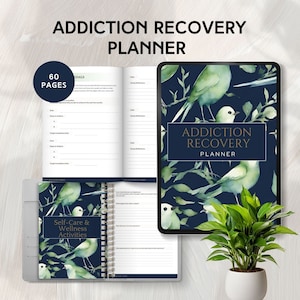 Planificador de recuperación de adicciones Hoja de trabajo del Plan de prevención de recaídas para días imprimibles de adicción Diario sobrio Regalo de sobriedad Alcohólicos Anónimos