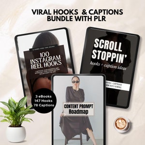 viral hooks and captions zero income claims hooks and captions instagram faceless digital marketing hooks and captions done for you canva