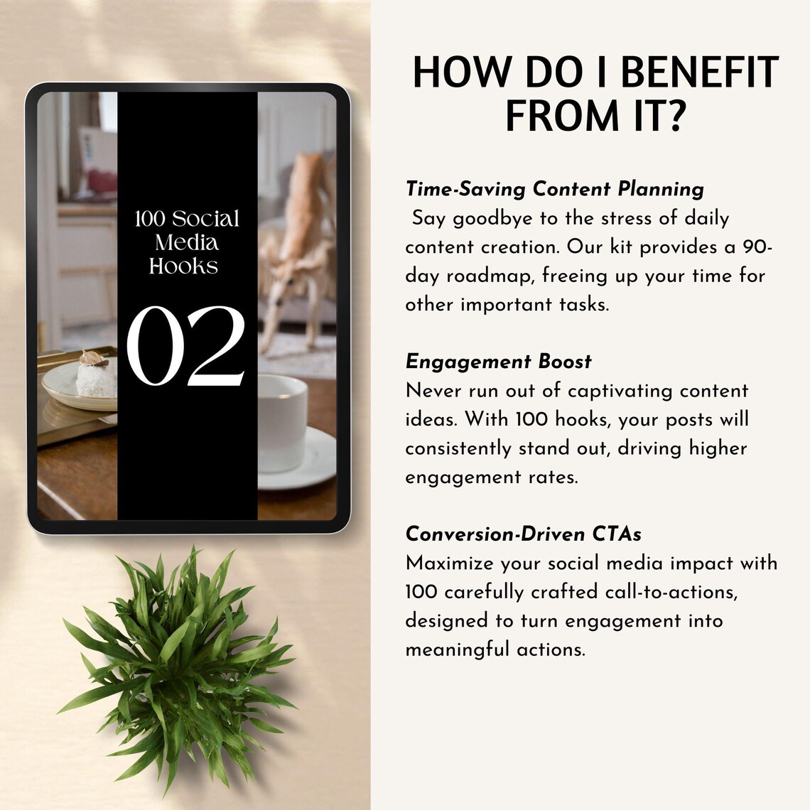 Hooks and Captions Done for You Faceless Instagram Reels With Hooks and ...