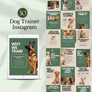 Plantilla de Instagram para entrenador de perros, negocio de mascotas, publicación en redes sociales, paseador de cachorros, kit de promoción, entrenamiento canino, marketing, editable, descarga instantánea.